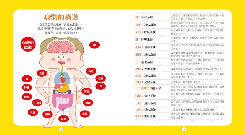 人體製造工廠：便便、尿尿、汗水……35種有形的人體產物